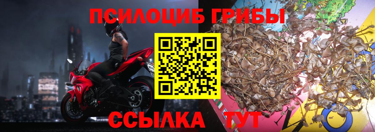 A-PVP Можга