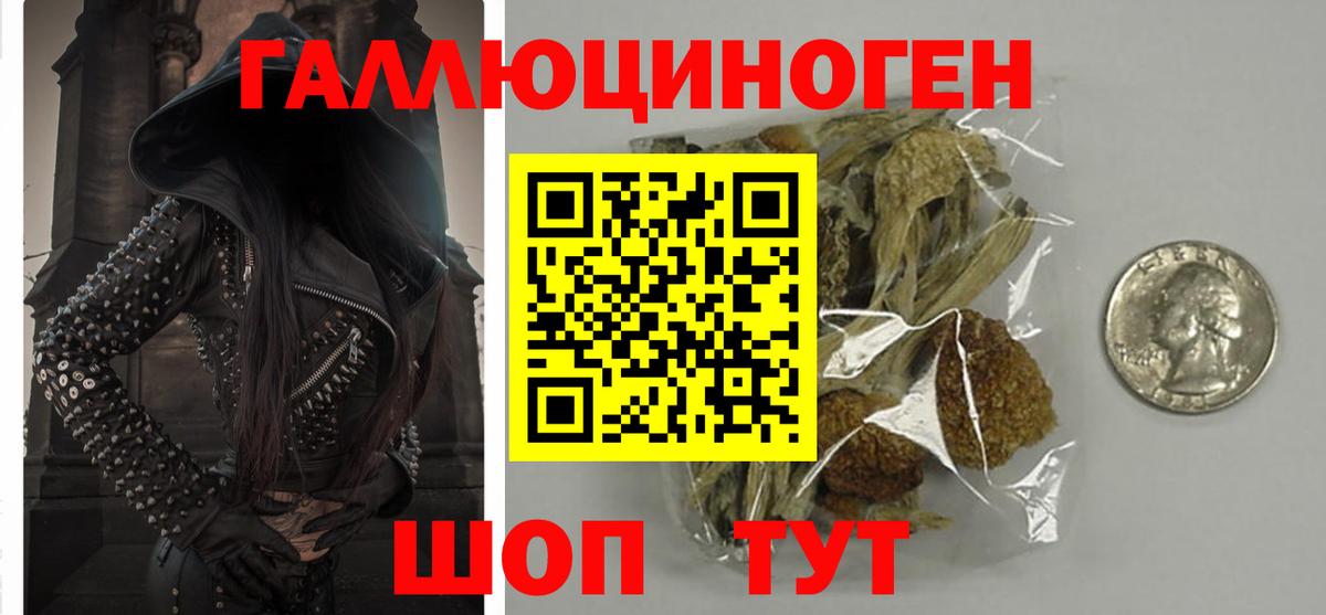 Можга  Псилоцибиновые грибы MAGIC MUSHROOMS  Вход с VPN 